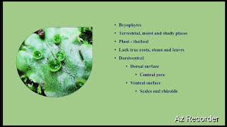 Structure of Marchantia  PVij ayakanth Assistant Professor  Department of Botany [upl. by Adamek]