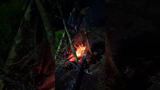 🍃🐔BBQ Night at Eco Resort  සීගිරි වාඩිය🍃🐔 travel lankan nature bbq trending campfire varisu [upl. by Geer57]