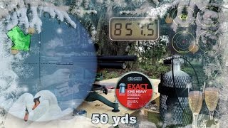 Kalibrgun Cricket 25 Air Rifle  50 Yard Accuracy TEST  Regulated PCP Bullpup Airgun [upl. by Hickey38]