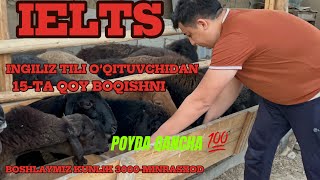 O’QITUVCHINILIK BILAN BIRGA QOY BOQIB QOSHIMCHA DAROMAT TOPISH [upl. by Schofield]