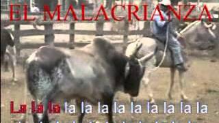 karaoke El toro y la luna Homenaje al malacrianzampg [upl. by Tesil]