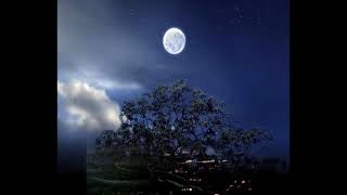 The Moon Represents My Heart  Kenny G [upl. by Othello]