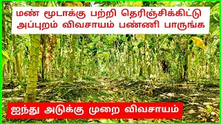 மண் மூடாக்கு பற்றி தெரிஞ்சிக்கிட்டு அப்புறம் விவசாயம் பண்ணிபாருங்க  soil mulching [upl. by Bartlet]