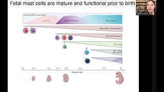 New roles of mast cells in immunity and immune pathology by Dr Ashley Saint John [upl. by Sarena]