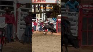 Champion on July 6 2024 Bull Riding Rodeo Calgary Stampede calgary rodeo stampede bull [upl. by Irreg]