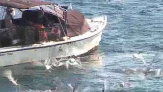 Lobster Boat in Marblehead Harbor [upl. by Nafets]