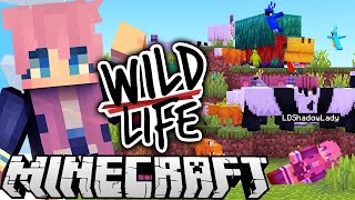 The WORST Best Day Ever  Ep 6  Wild Life [upl. by Akihsal545]