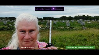 What is a Lecher antenna  Origin How does a Lecher antenna work [upl. by Snej]