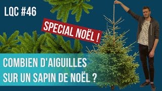 Combien daiguilles sur un sapin de Noël  LQC 46 [upl. by Reinertson45]