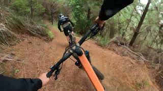 Hammer Head Whangamata MTB 27k MML [upl. by Legnalos]