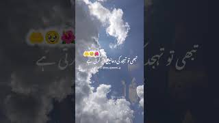 Tahajjud or fazar khamosh namaze hoti hai love islamicvideo viralvideo islamicstatusaminulqadr [upl. by Attaynik]