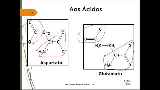 Precursores de Macromoléculas Aminoácidos [upl. by Hafeetal]