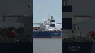 Ship sails up Mississippi River in Bridge City LA mississippiriver bridges river westwego [upl. by Groot]