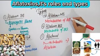 AflatoxinsMycotoxinsFull explaination in Hindi biochemistry [upl. by Heidie]