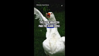 WikiListen Guard Goose [upl. by Seymour400]