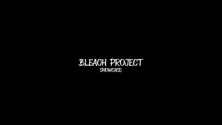 The Bleach Project so far w The Wrath III preview [upl. by Meeki]