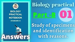 Study of specimens and identification with reason biology practical class 11 experiment 1 b answers [upl. by Eicnarf]