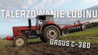 TALERZOWANIE ŁUBINU 2021 URSUS C360 [upl. by Willi669]