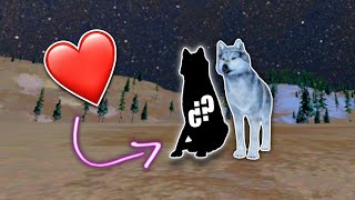 La Gran Búsqueda del AMOR ❤️  Ep3  Wolfquest Anniversary Edition [upl. by Ochs]