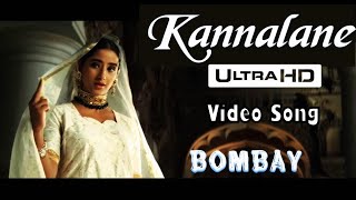 kannalane enathu kannai 1080p HD video SongBombayARRahmanChithra [upl. by Eednac]