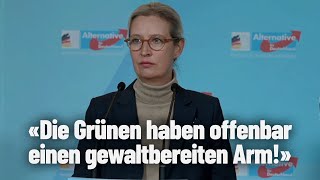 quotDie Grünen haben einen gewaltbereiten Armquot  Alice Weidel  AfD [upl. by Aiselad]