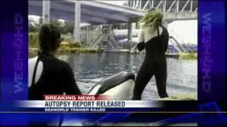 SeaWorld Trainer Autopsy Released [upl. by Ahsemat]