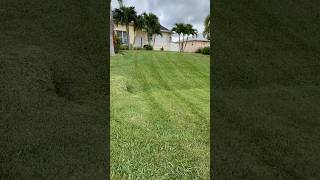 greenyard satisfying lawncare [upl. by Leitnahs]