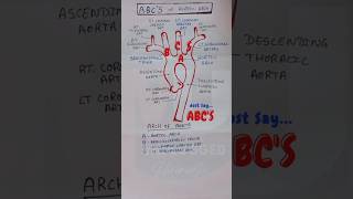 Arch Of Aorta Branches made easy  Aortic Arch Branches shorts [upl. by Childs525]