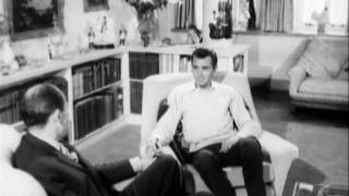 Dirk Bogarde interview [upl. by Kimmy]