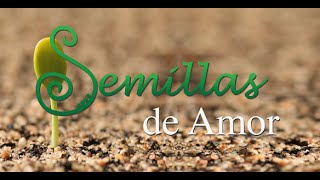 Semilla de Amor LLDM Letra [upl. by Elletnuahs]