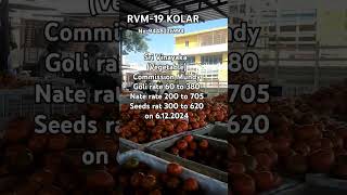 Ronur Vinayaka Mundy auction by DR Venkata chalapathi Top rate 705 on 6122024 [upl. by Aeslehs189]