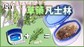 【轉季敏感】超簡易將凡士林改造成草本舒敏膏！DIY 法詳解 [upl. by Imarej53]