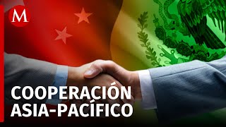 China se posiciona como el segundo socio comercial de México cumbre APEC Perú 2024 [upl. by Laehcim]