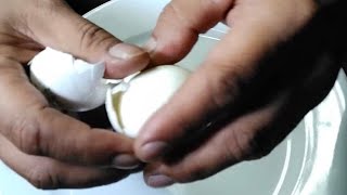 egg boiledegg satisfying asmrsounds asmrvideo [upl. by Lionello]