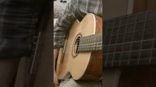 Spanish strum over Bm Fm Em G progression acousticguitar [upl. by Ayekim38]