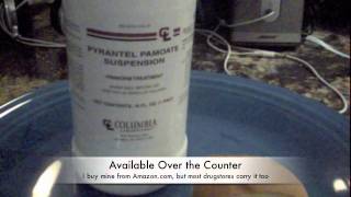 DIY Heartworm Preventive  Updated HD [upl. by Nylatsirhc]