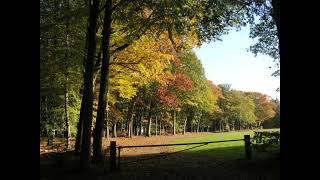 Autumn in Gorssel Eefde Nederland [upl. by Nylatsyrc]