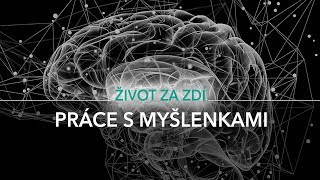 25 DÍL PRÁCE S MYŠLENKAMI KOGNITIVNĚ BEHAVIORÁLNÍ TERAPIE A MINDFULNESS [upl. by Tyree527]