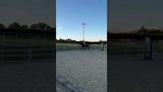 Flatwork lessonnnn 😚 fyp equestrain [upl. by Harte]