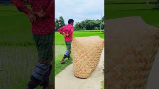 পিছে দেখো funny comedy shortvideos shorts shortvideo viralvideo fun video [upl. by Fenella]