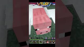 Minecraft  หลอน ERR422 [upl. by Morril485]