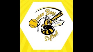 Breese Queen Bees vs Clinton County Crush [upl. by Sivad43]