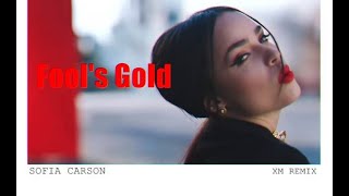 Sofia Carson  Fools Gold XM Remix [upl. by Malcah258]