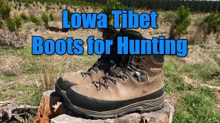 Hunting Gear Review  Lowa Tibet Boots [upl. by Alpert698]