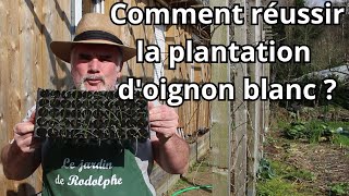 Plantation des micro mottes doignon blanc  Découvrez comment [upl. by Renckens]