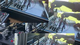 Frippertronics Buchla Easel [upl. by Anawt]