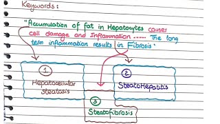 Alcoholic and Nonalcoholic Fatty Liver Disease  Morphology [upl. by Nolte]