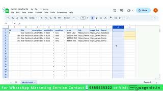 How To Import Products In Bulk Via Google Sheet  Whatsapp Automation [upl. by Arivle]