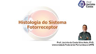 12Histologia do Sistema Fotorreceptor olho  Nível Graduação [upl. by Boyes]