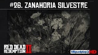 Localización Zanahoria Silvestre  26Compendio Plantas  Red dead redemption 2 [upl. by Yrocaj187]